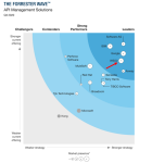 API Management